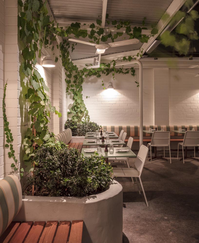 1562151690654083.jpg 4.jpg