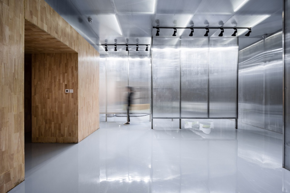 1562250339970323.jpg 1.jpg