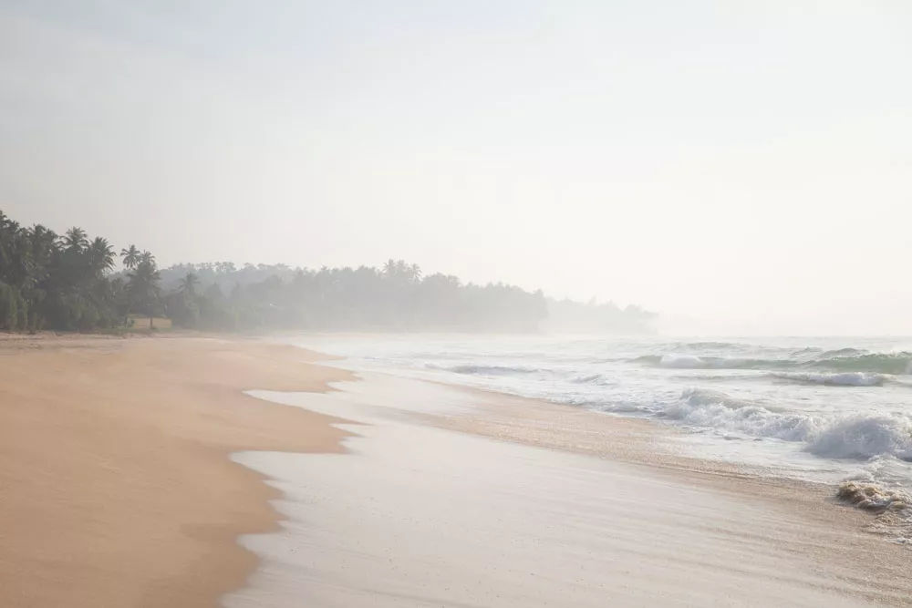 1562297123123866.jpg 39.jpg