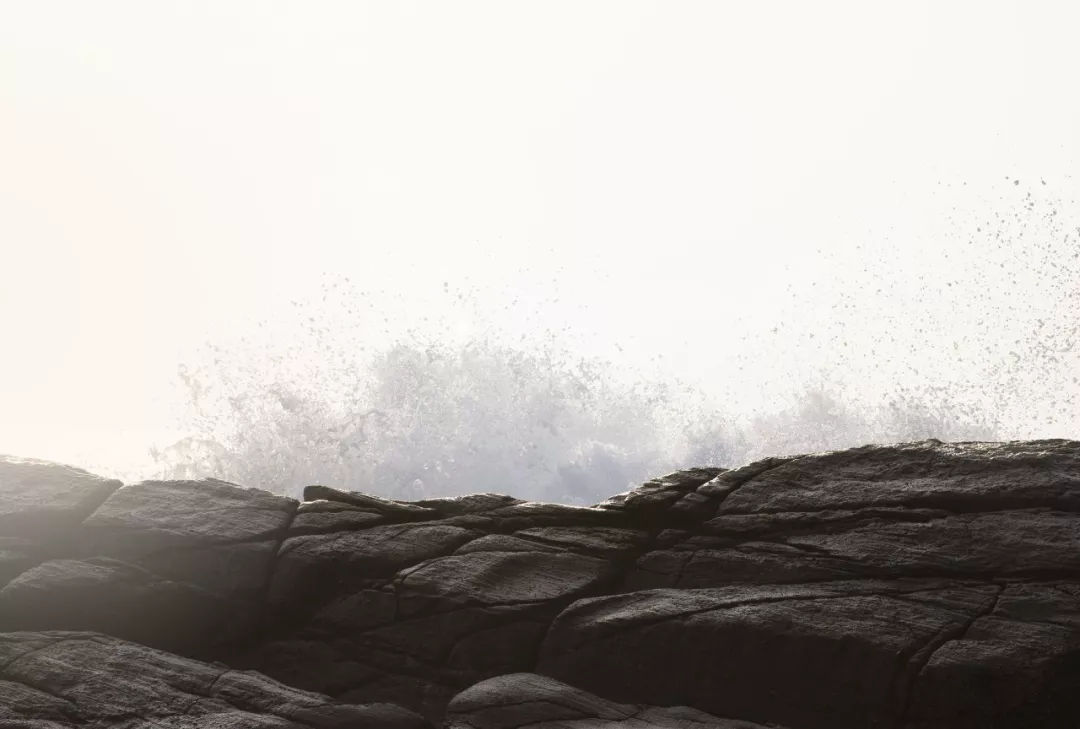 1562297139827630.jpg 41.jpg