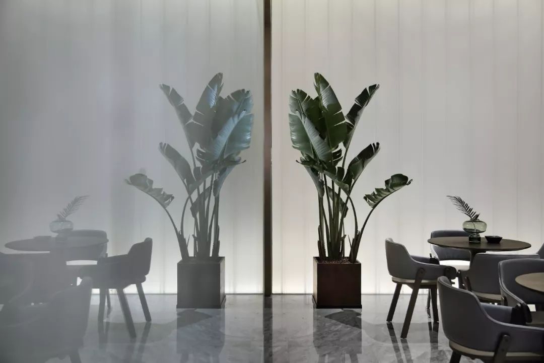 1562298702425455.jpg 36.jpg