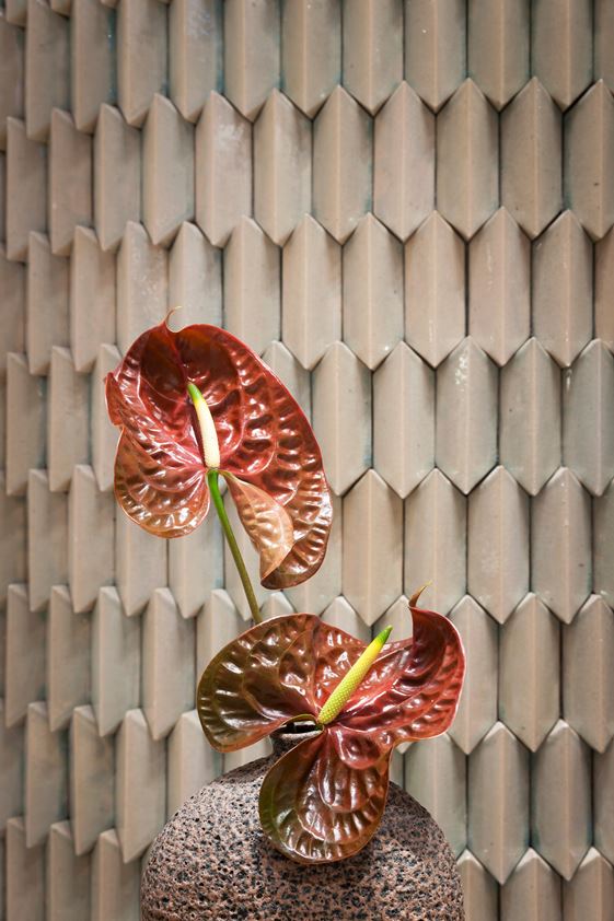 1562319178666131.jpg 12.jpg