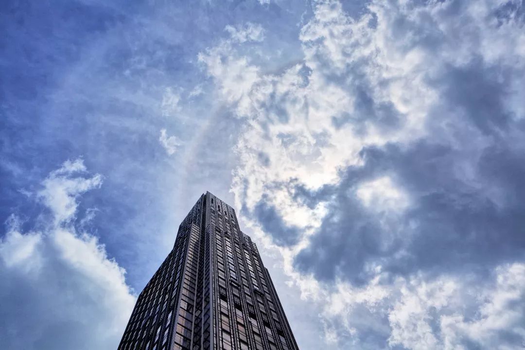 1562467921774916.jpg 305.jpg