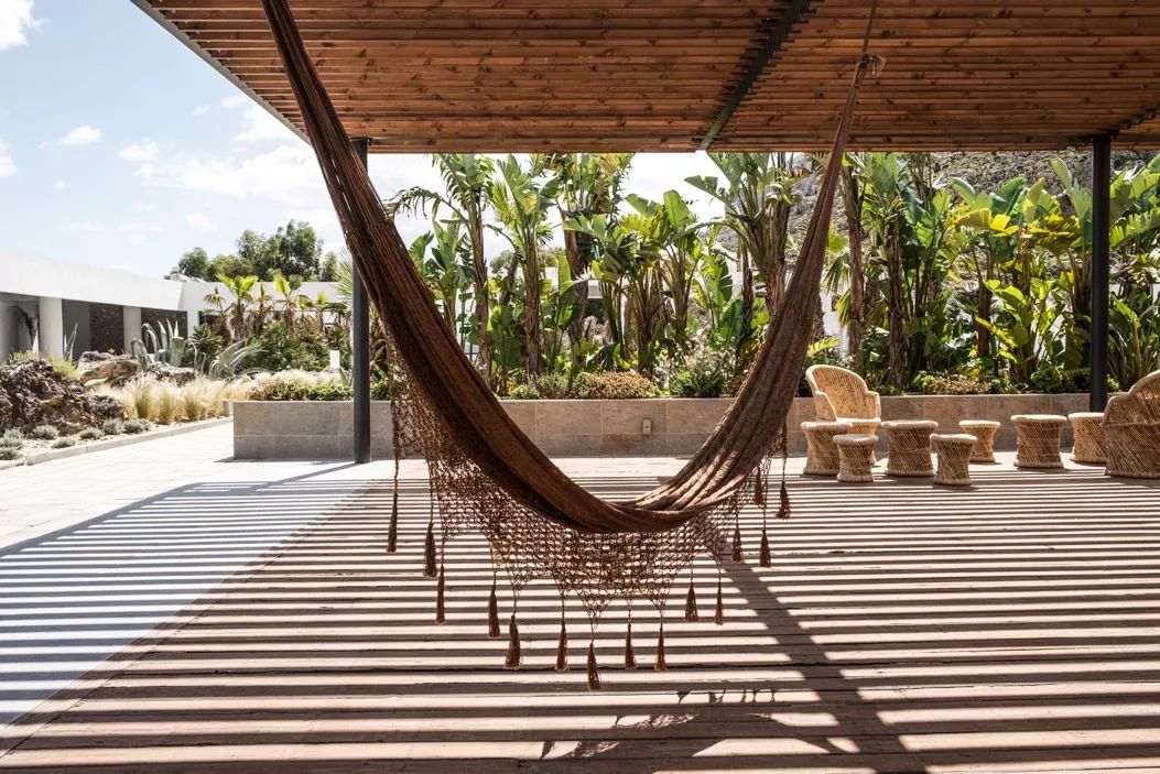 1562481255105501.jpg 707.jpg