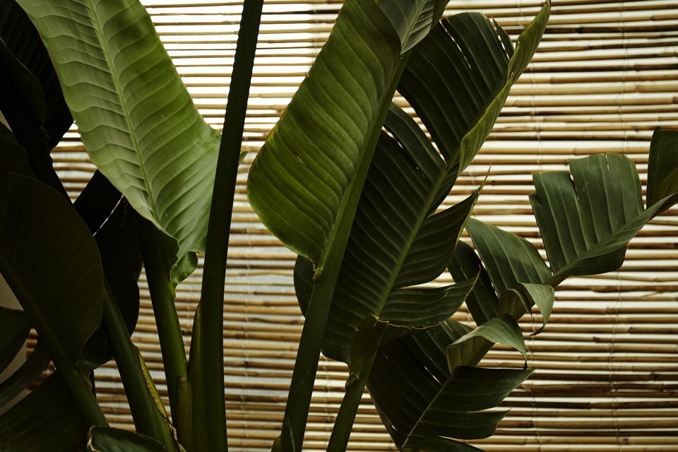 1562486418284784.jpg 53.jpg