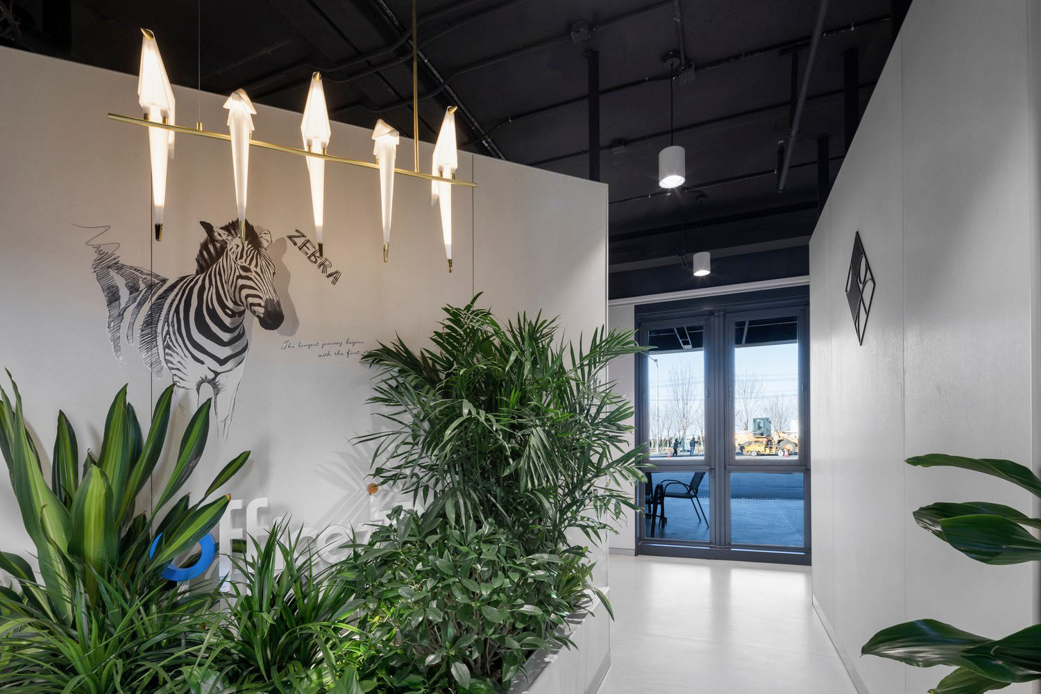 1563586336318220.jpg 7.jpg