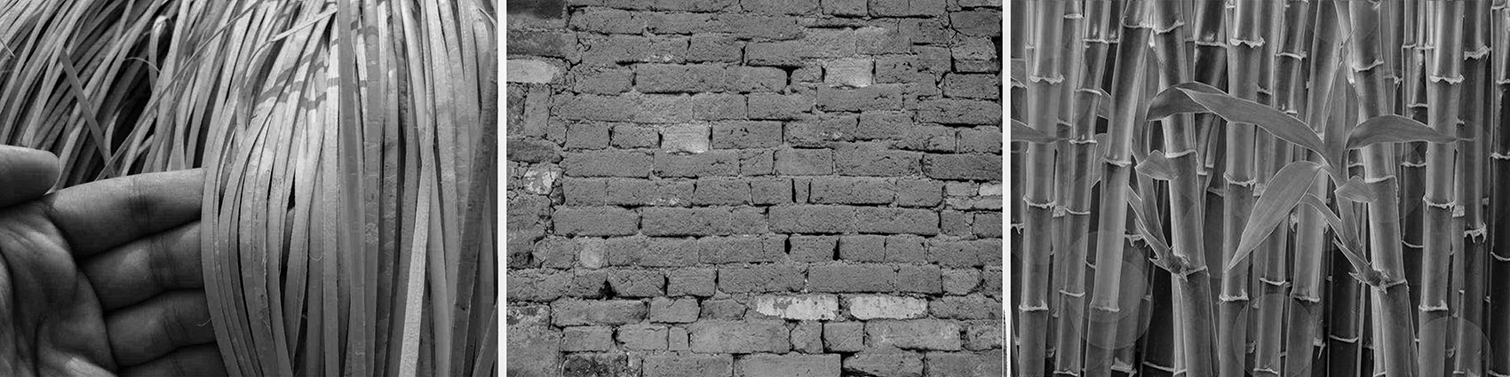 1571615789246701.jpg 3.jpg