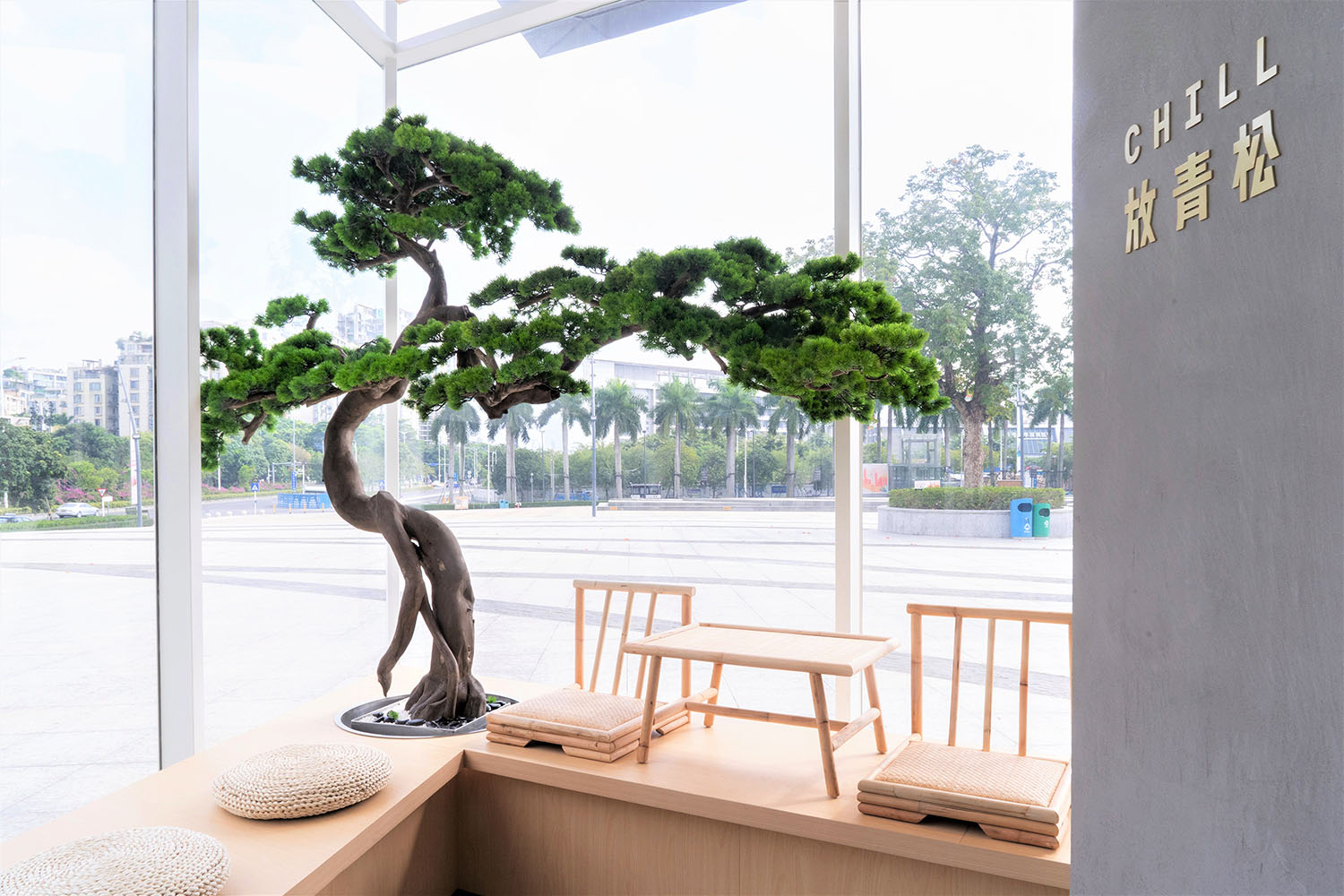 1574590199299329.jpg 5.jpg