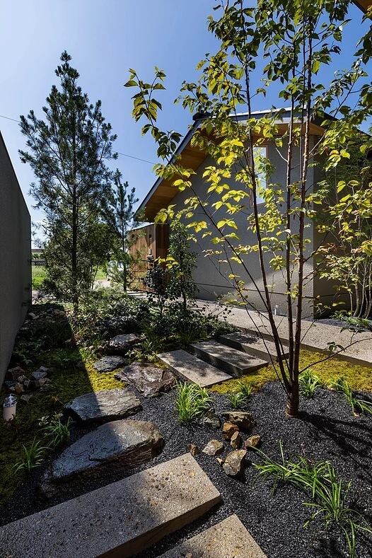 1575787855702106.jpg 5.jpg