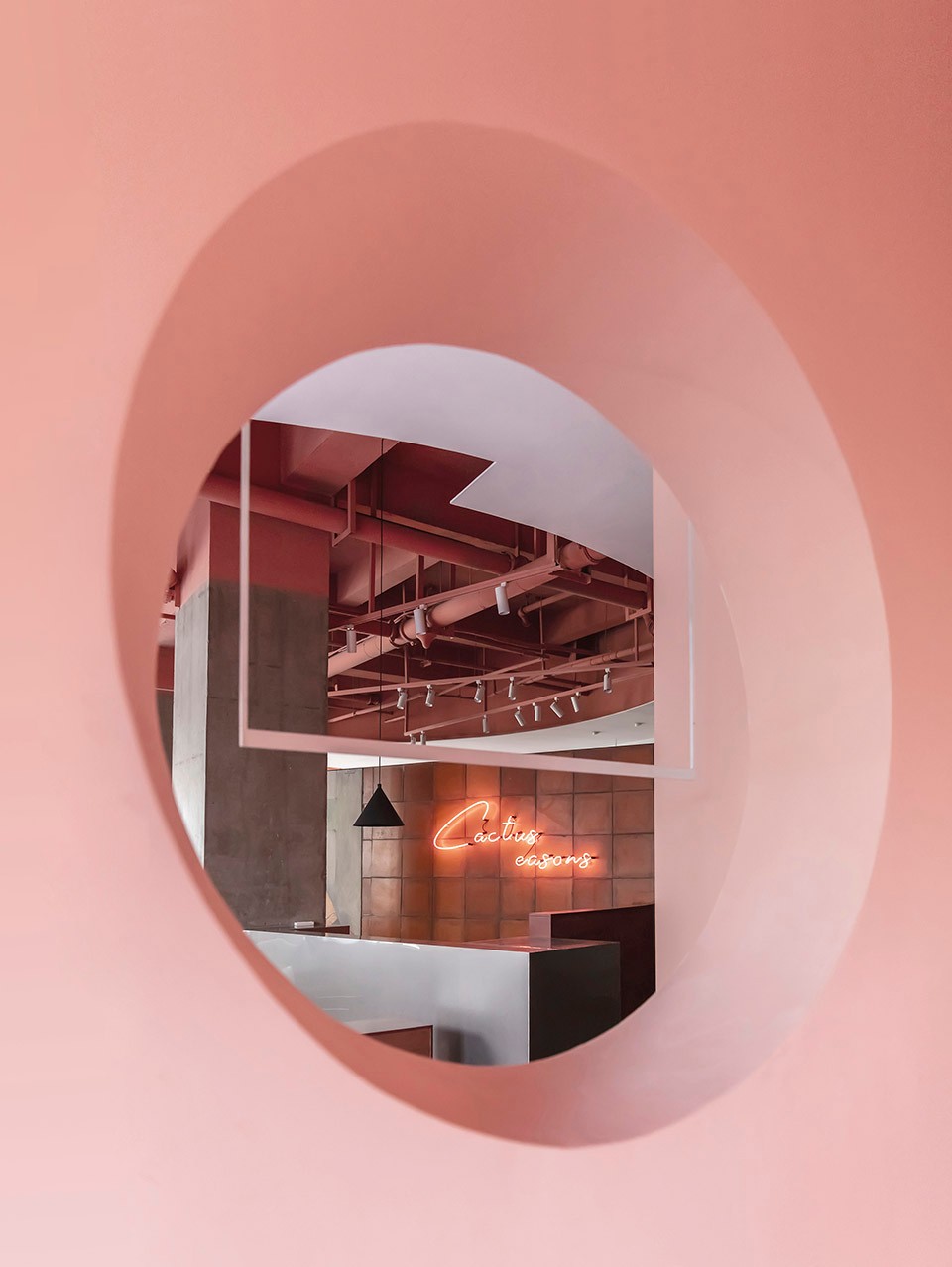 1576380559637903.jpg 7.jpg