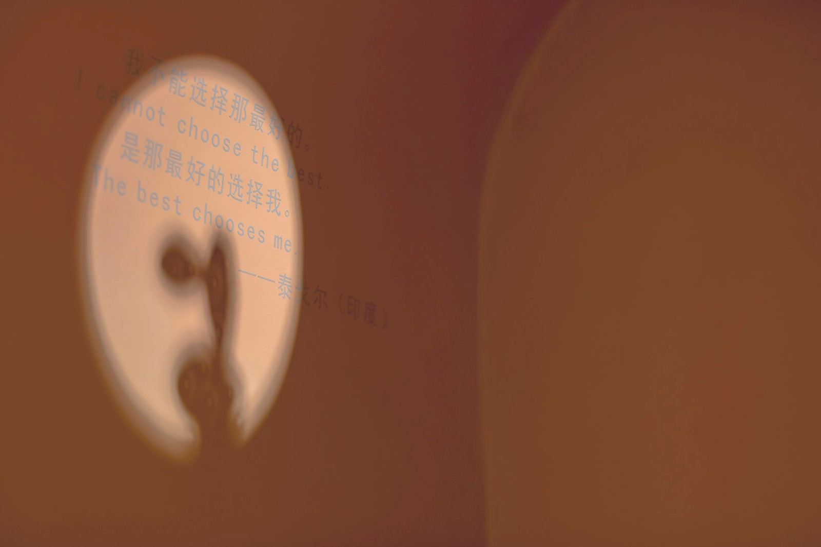 1576381039235340.jpg 26.jpg