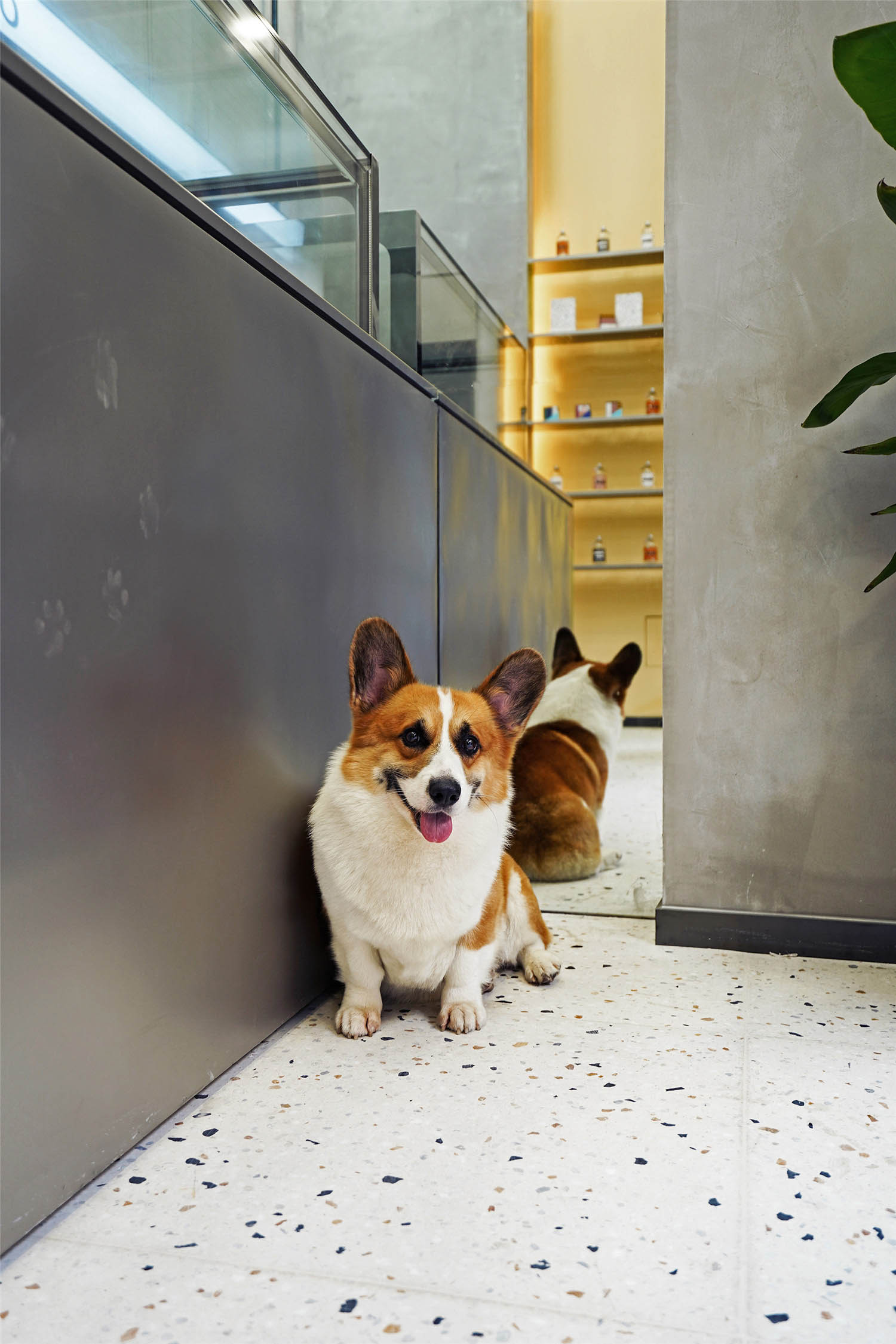 1576978677130308.jpg 4.jpg