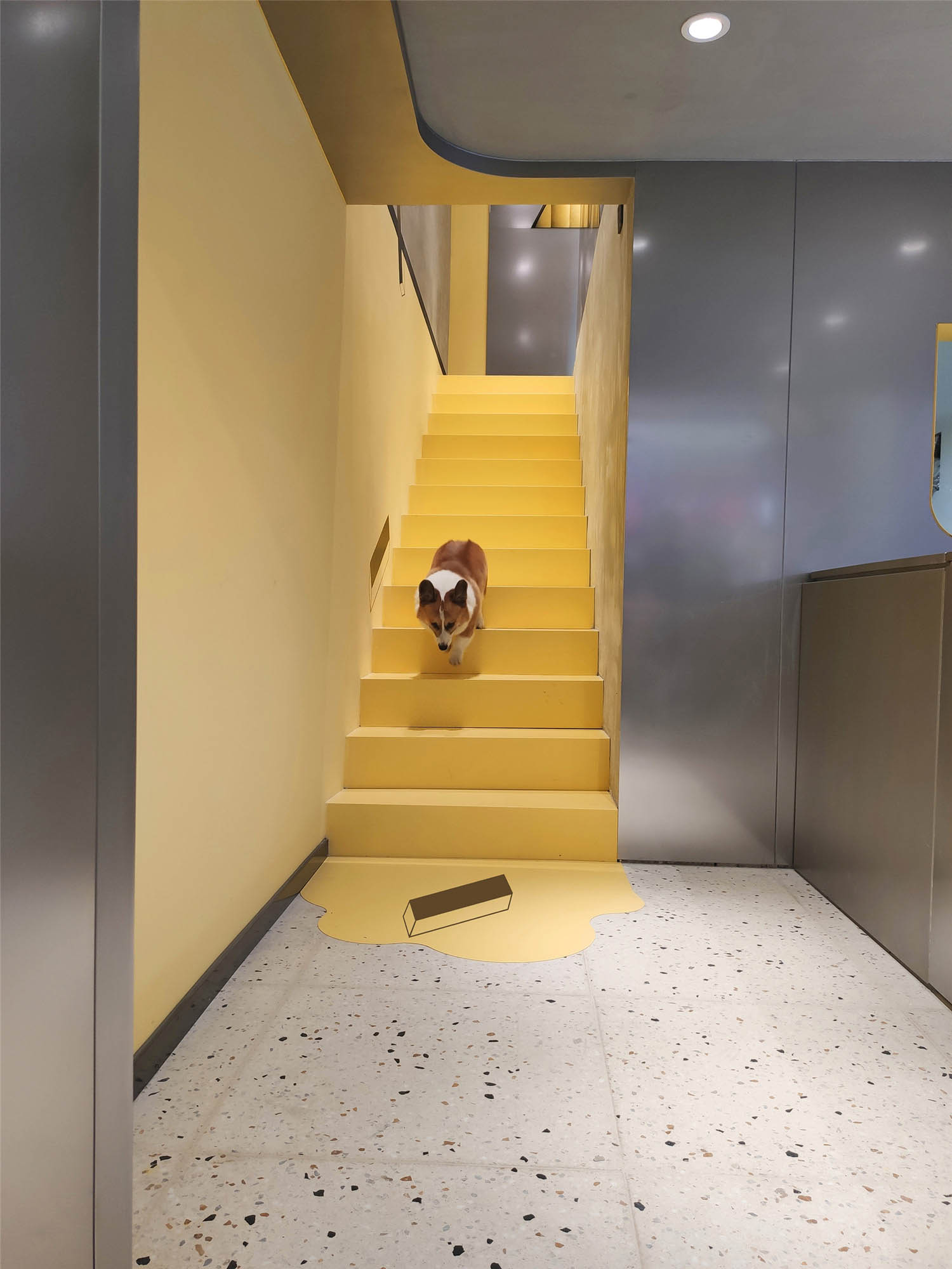 1576978725138166.jpg 7.jpg