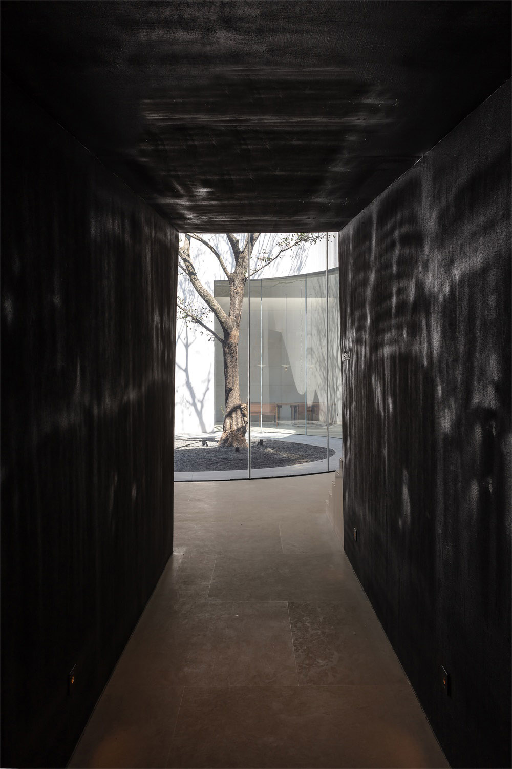 1576980458238611.jpg 6.jpg