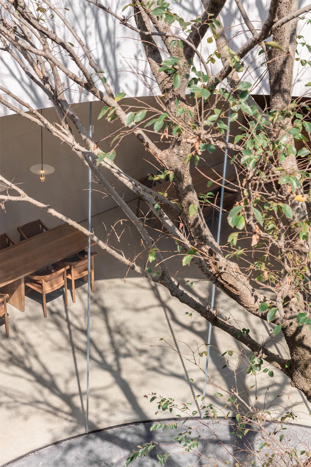 1576980793883872.jpg 24.jpg