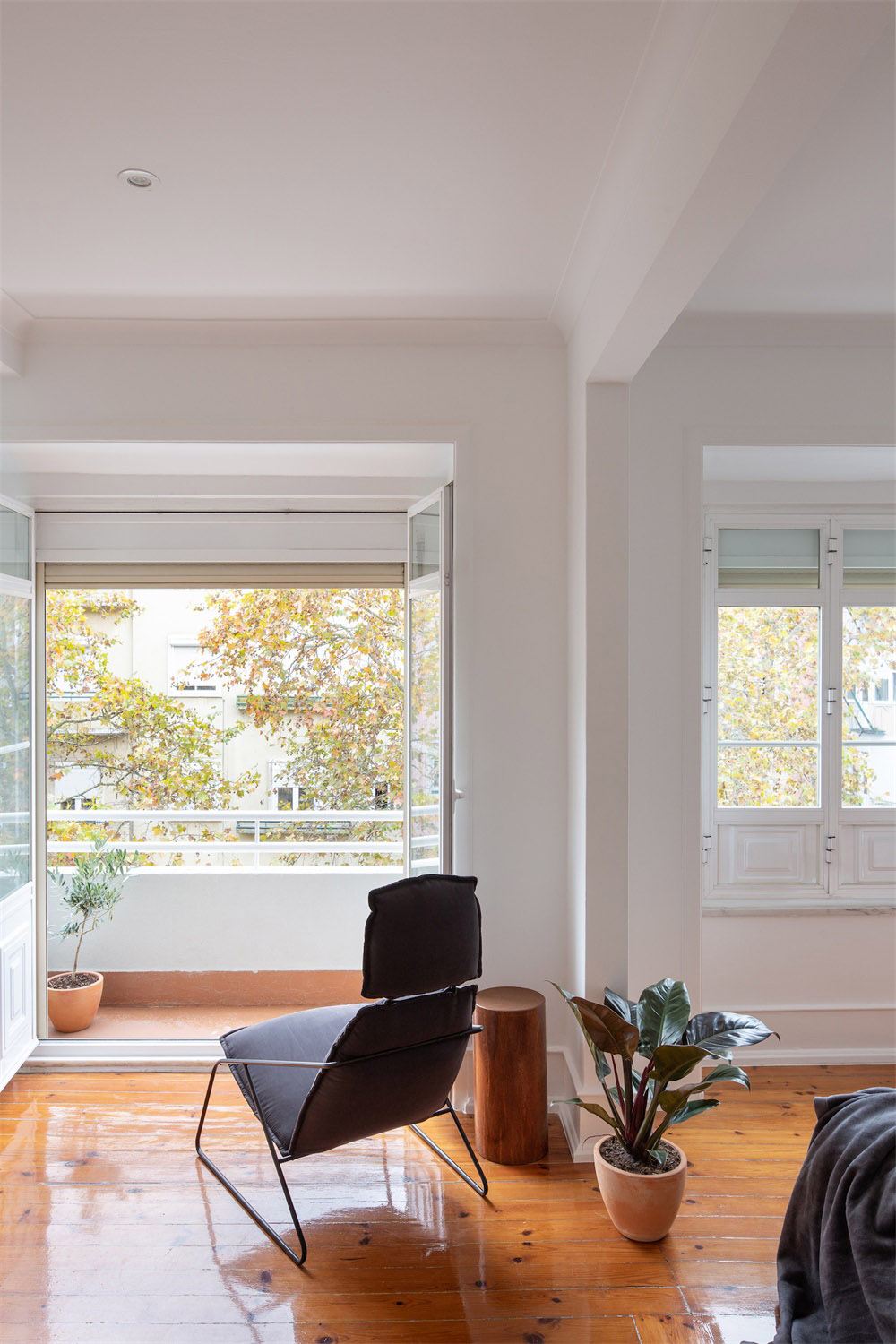 1576995914298124.jpg 7.jpg