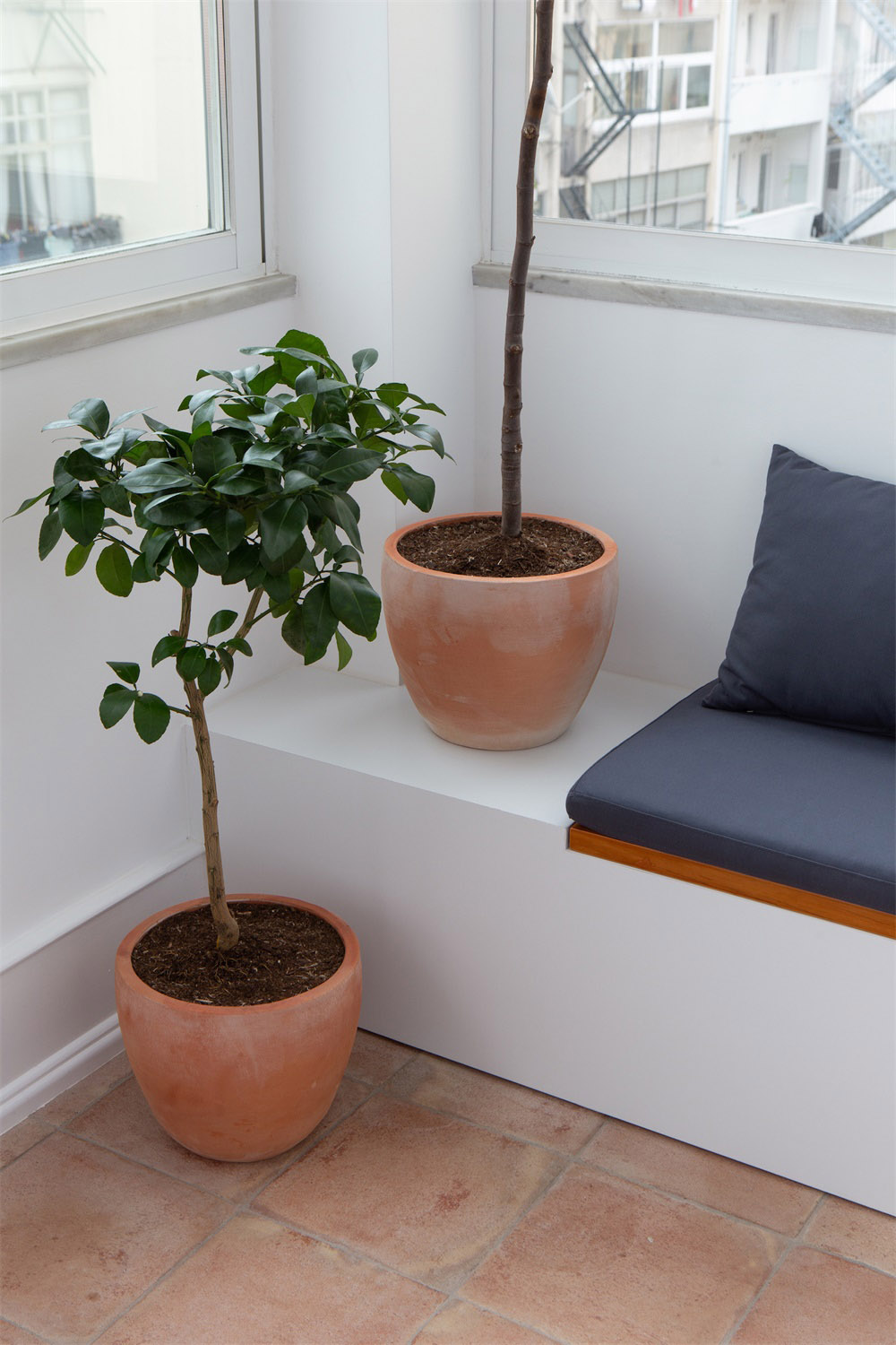 1576995968183100.jpg 14.jpg