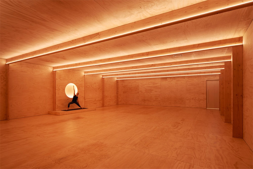 1577623167491810.jpg 1.jpg