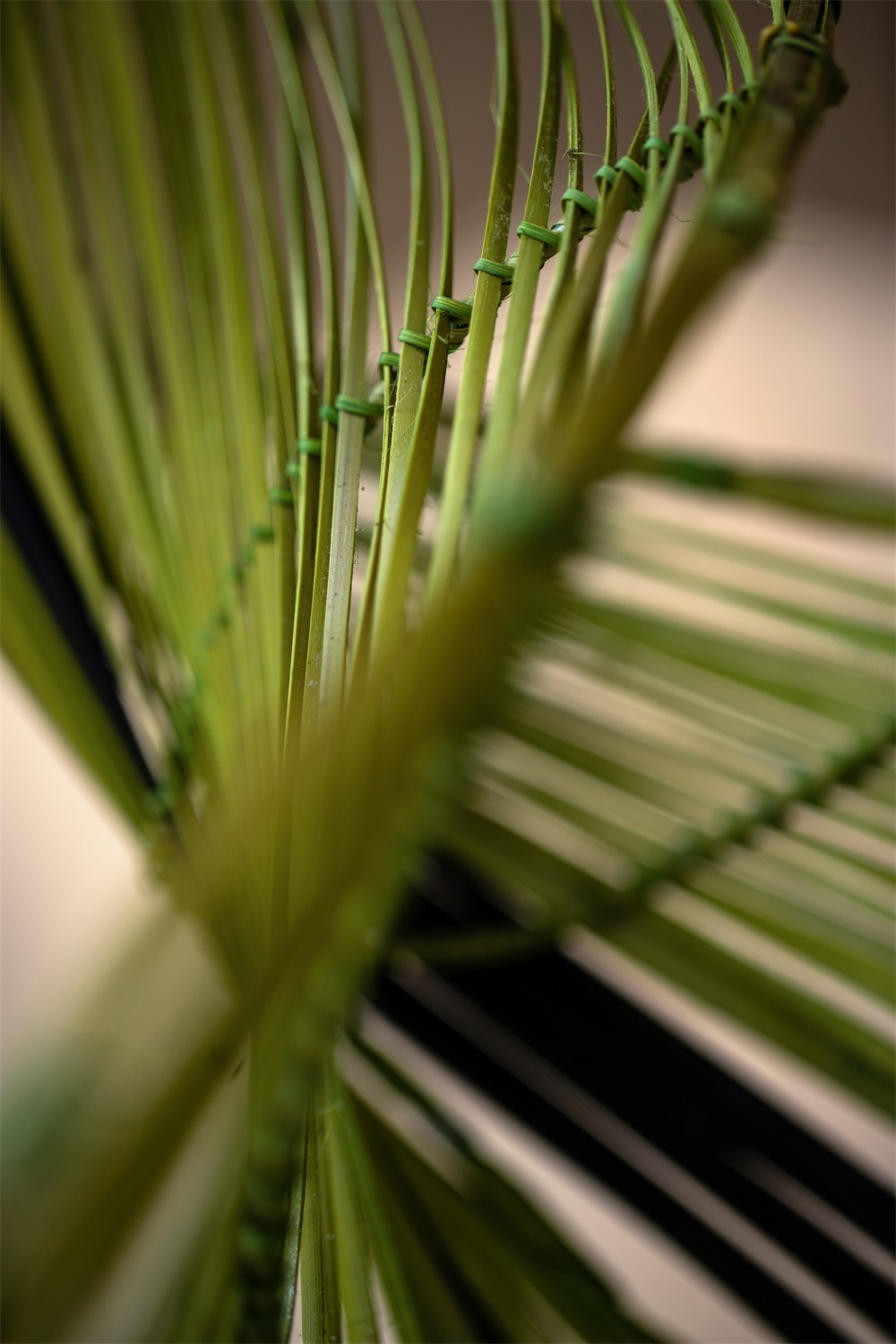 1577625853134969.jpg 12.jpg