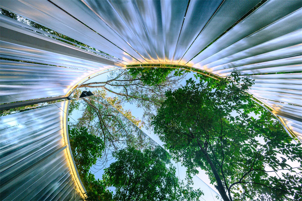 1578746614159432.jpg 6.jpg