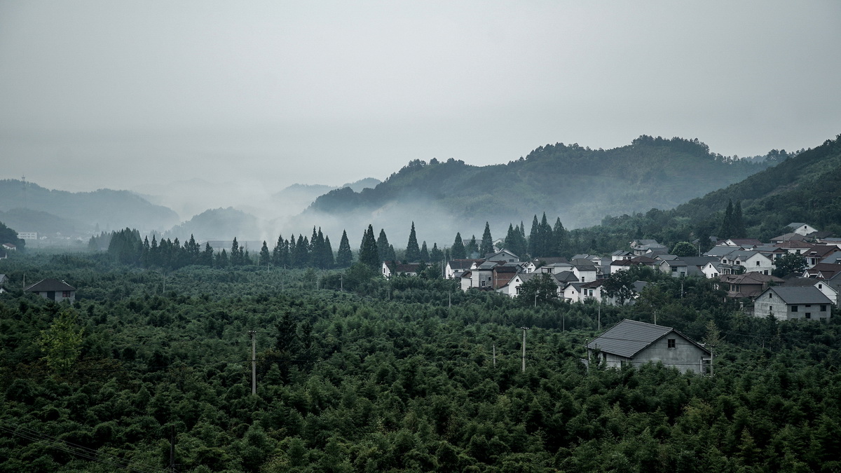 1578747101347610.jpg 2.jpg