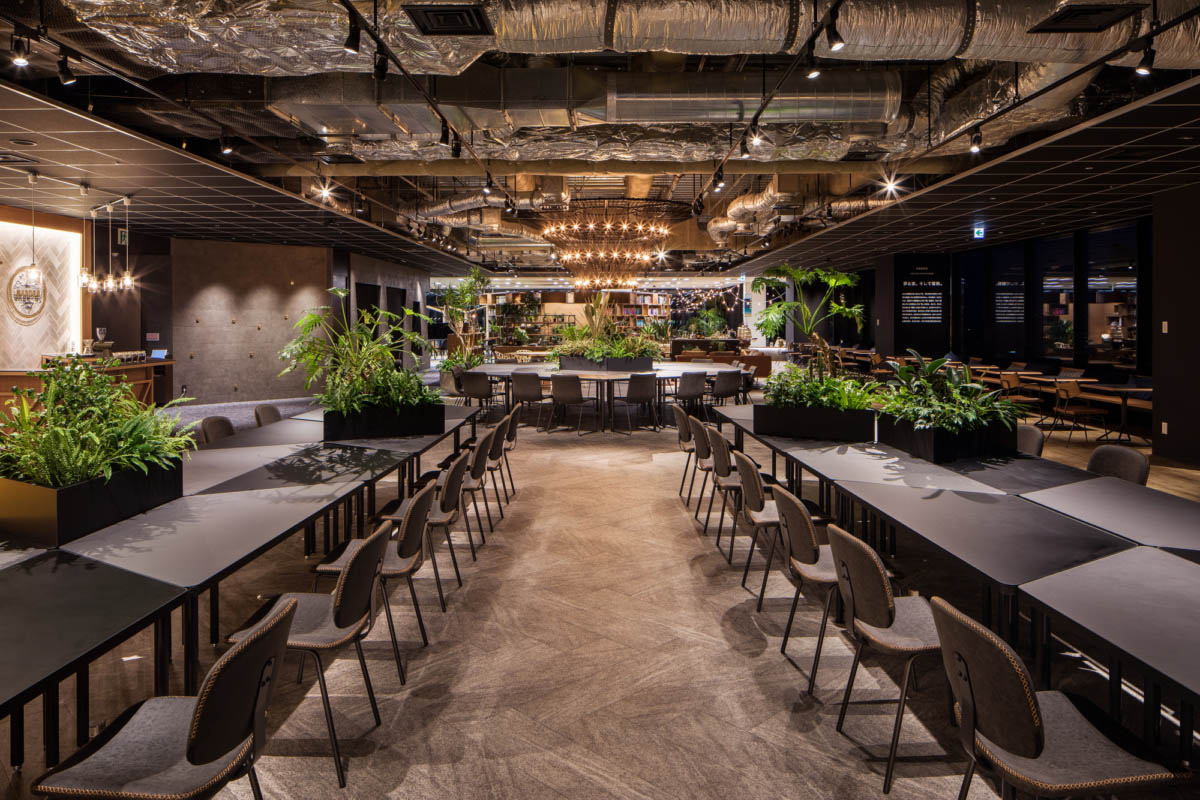 1581403983887100.jpg 3.jpg