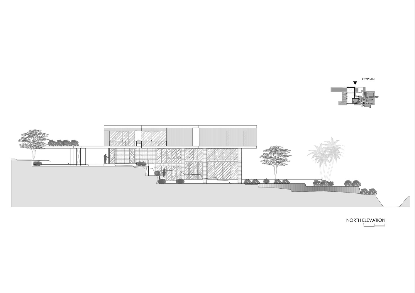 1581475474509840.jpg 20.jpg