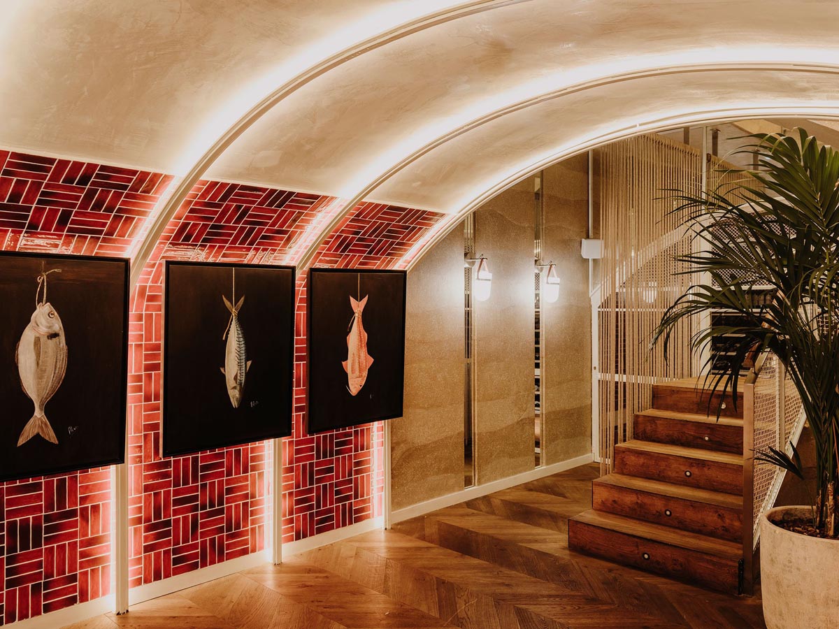 1581484495577529.jpg 14.jpg