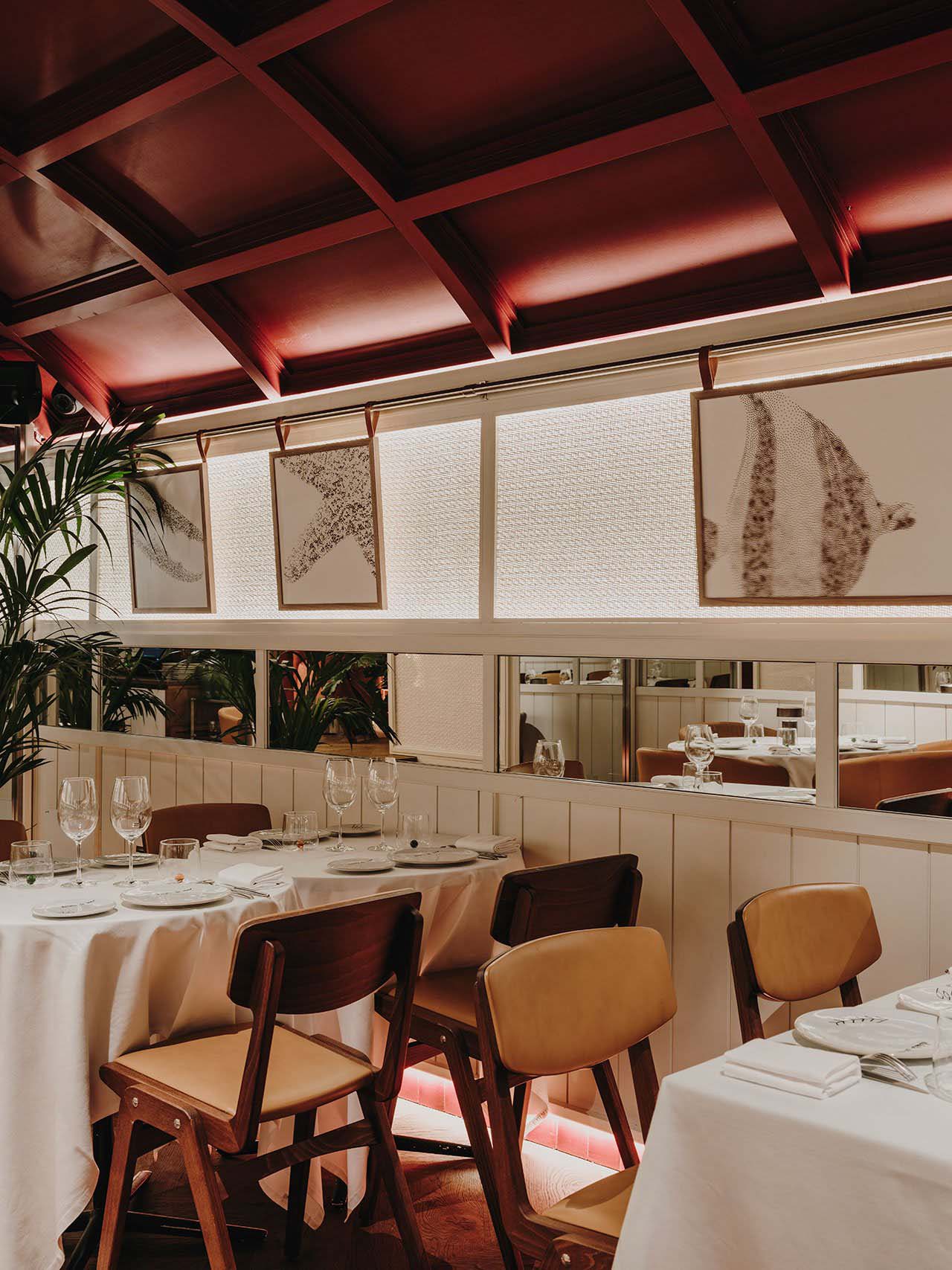 1581484535833267.jpg 23.jpg