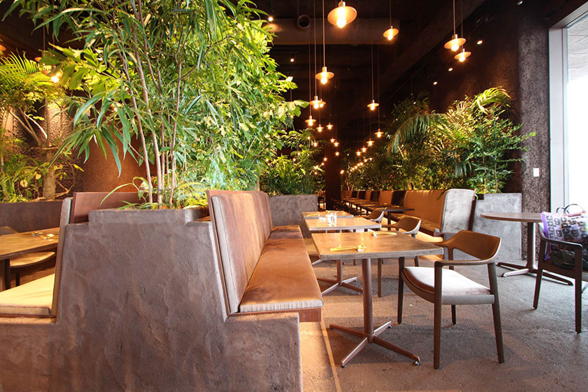 1582641340134039.jpg 11.jpg