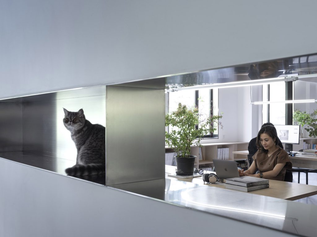 1595895170886434.jpg 17.jpg